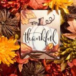 A Starry Night Kitty sign with the word thankful surrounded by fall flowers.