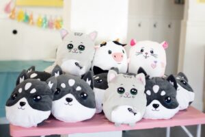 Squishmallow Party