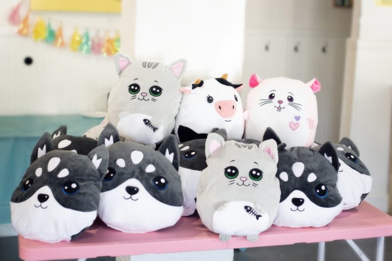 Squishmallow Party