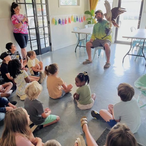 A group of children sitting on the floor and watching an animal perform.
